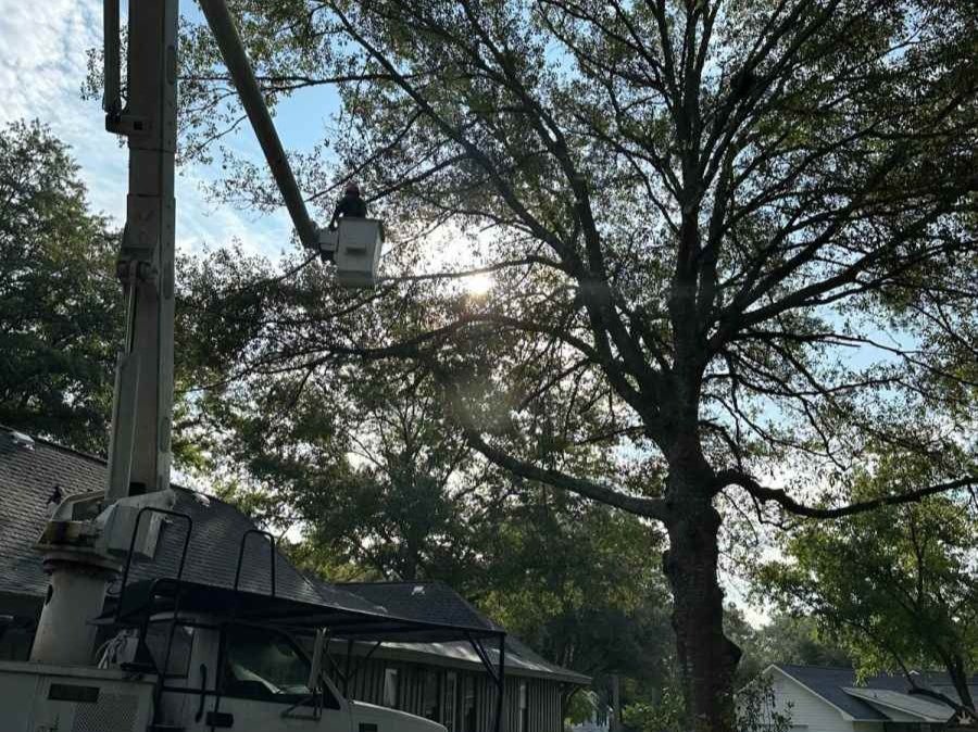 El Costeño Tree Service LLC